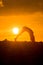 Yoga Woman doing yoga pose outside in sunset