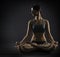 Yoga woman meditate sitting in lotus pose. Silhoue