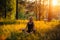 Yoga woman meditating on a picturesque glade in a green forest. Relax.