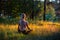 Yoga woman silhouette in Lotus pose sitting on a picturesque glade