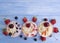 Yoghurt, oatmeal blueberry strawberry homemade dairy delicious refreshment apricot cherry on a blue wooden background