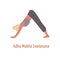 Yogi female in adho mukha svanasana posture vector flat illustration. Woman demonstrating Downward dog pose isolated on