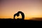 Yogi Master Silhouette on the beach