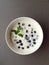 Yogurt with blueberries breakfast
