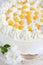 Yogurt cake with oranges