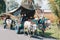 Yogyakarta, Indonesia - November, 2019: Cow cart or Gerobak Sapi with two white oxen pulling wooden cart with hay on road in