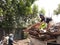 Yogyakarta, Indonesia November-22-2020: workers in landfills carrying paper waste