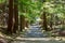 Yokawa Area at Enryakuji Temple in Otsu, Shiga, Japan. It is part of the UNESCO World Heritage Site