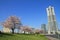 Yokohama Landmark Tower and the cherry blossoms