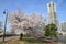 Yokohama Landmark Tower and the cherry blossoms