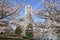 Yokohama Landmark Tower and the cherry blossoms