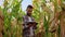 Yong farmer agronomist in the corn field and examining crops with tablet before harvesting