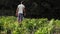 Yong farmer walking on the field of organic farm