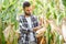 Yong handsome agronomist in the corn field and examining crops before harvesting. Agribusiness concept. agricultural