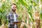 Yong handsome agronomist in the corn field and examining crops before harvesting. Agribusiness concept. agricultural