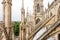 York Minster Cathedral in York. Yorkshire, England