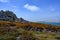 Yorke Bay, Stanley, Falkland Islands, Gypsy Cove, beautiful landscape with rocks, summer vegetation and South Atlantic Ocean