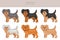 Yorkiepoo clipart. Yorkshire terrier Poodle mix. Different coat colors set