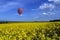 Yorkshire Countryside - Hot Air Balloon