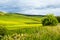 Yorkshire Dales, landscape in Summer, England