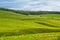 Yorkshire Dales, landscape in Summer, England