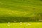 Yorkshire Dales, landscape in Summer, England