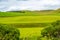 Yorkshire Dales, landscape in Summer, England, United Kingdom