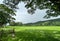 Yorkshire Dales rural landscape near, Bolton Abbey, Yorkshire, UK