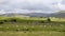 Yorkshire Dales Sleddale UK near Hawes