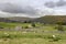 Yorkshire Dales Sleddale UK near Hawes