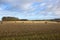 Yorkshire farmland and stubble fields in winter