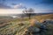 Yorkshire moorland view