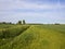 Yorkshire Springtime agriculture and wildflowers