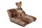 Yorkshire Terrier Dog on Animal Print Bed