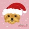 Yorkshire Terrier dog with red Santa`s hat