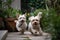 Yorkshire Terrier dog running in the garden,selective focus, Two cute small dogs playing and running in a green garden, AI