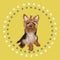 Yorkshire terrier illustration