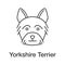 Yorkshire Terrier linear icon