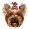Yorkshire Terrier with pink bow