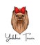 Yorkshire terrier portrait. Red Bow. Dog breed. Dog head face. Vector.