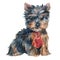 The Yorkshire terrier puppy boy