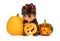 Yorkshire terrier in red horns sits among pumpkins