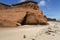 Yorkshire Terrier standing alone on a deserted beach with red cliff