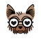 Yorkshire terrier wearing eyeglasses fall in love