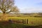 Yorkshire wolds in autumn