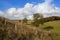 Yorkshire wolds countryside