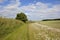 Yorkshire wolds footpath