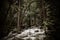 Yosemite - Bridalveil Creek During Spring Runoff