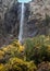 Yosemite Bridalveil   Falls