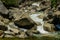 Yosemite Creek below falls
